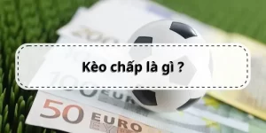 https://jal.in.net/